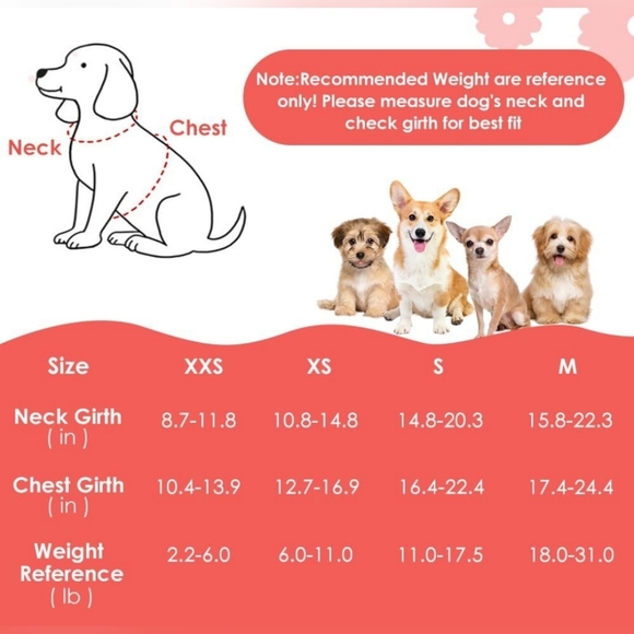 SlowTon No Pull Purple Floral Dog Harness & Leash Set Size XXS (2-2.6 lbs) EUC - Picture 4 of 13